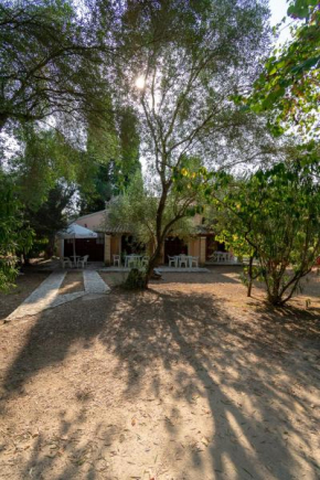 Villa Olive apartments By Hotelius, Ypsos